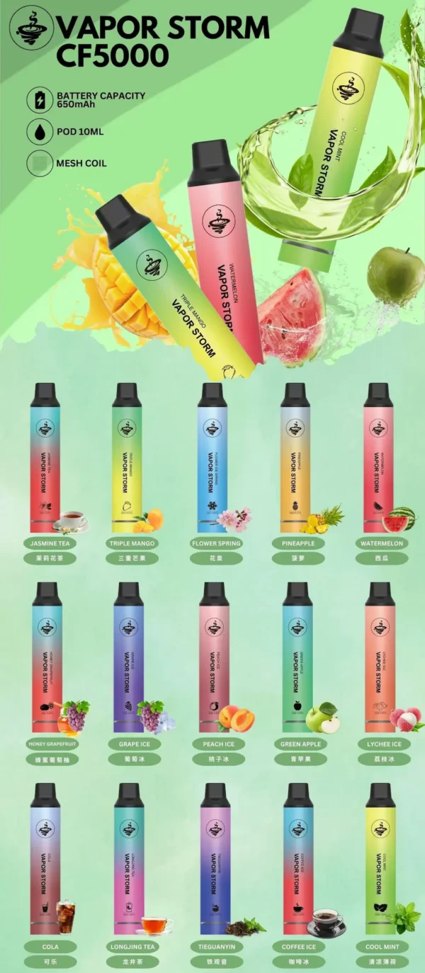 VAPOR STORM 風暴系列 5000口｜帶來飽滿低負擔感｜智慧控溫提升口感呈現